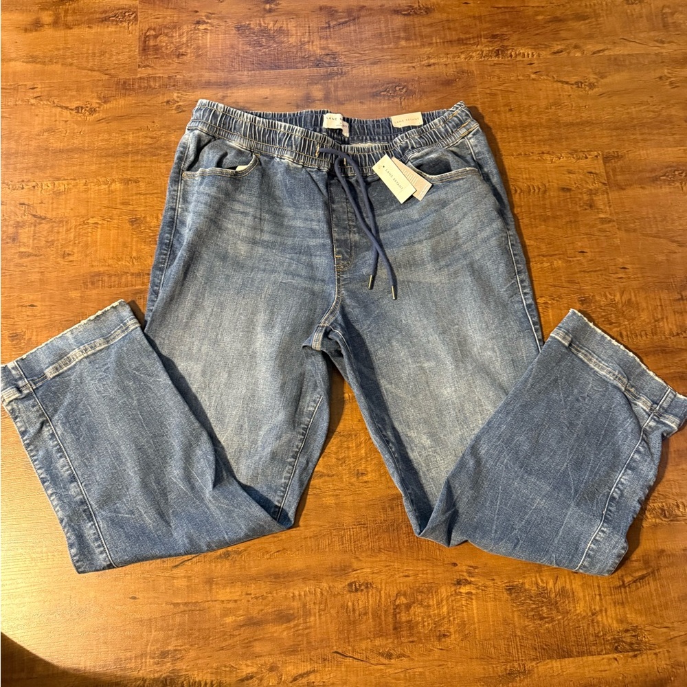 Lane Bryant Blue Boyfriend Jeans